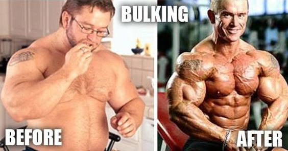 bulking and cutting before and after